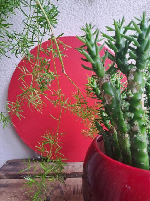 Appartement Cosy Avec Jardin Et Parking แฌเนอวีลิเยร์ ภายนอก รูปภาพ